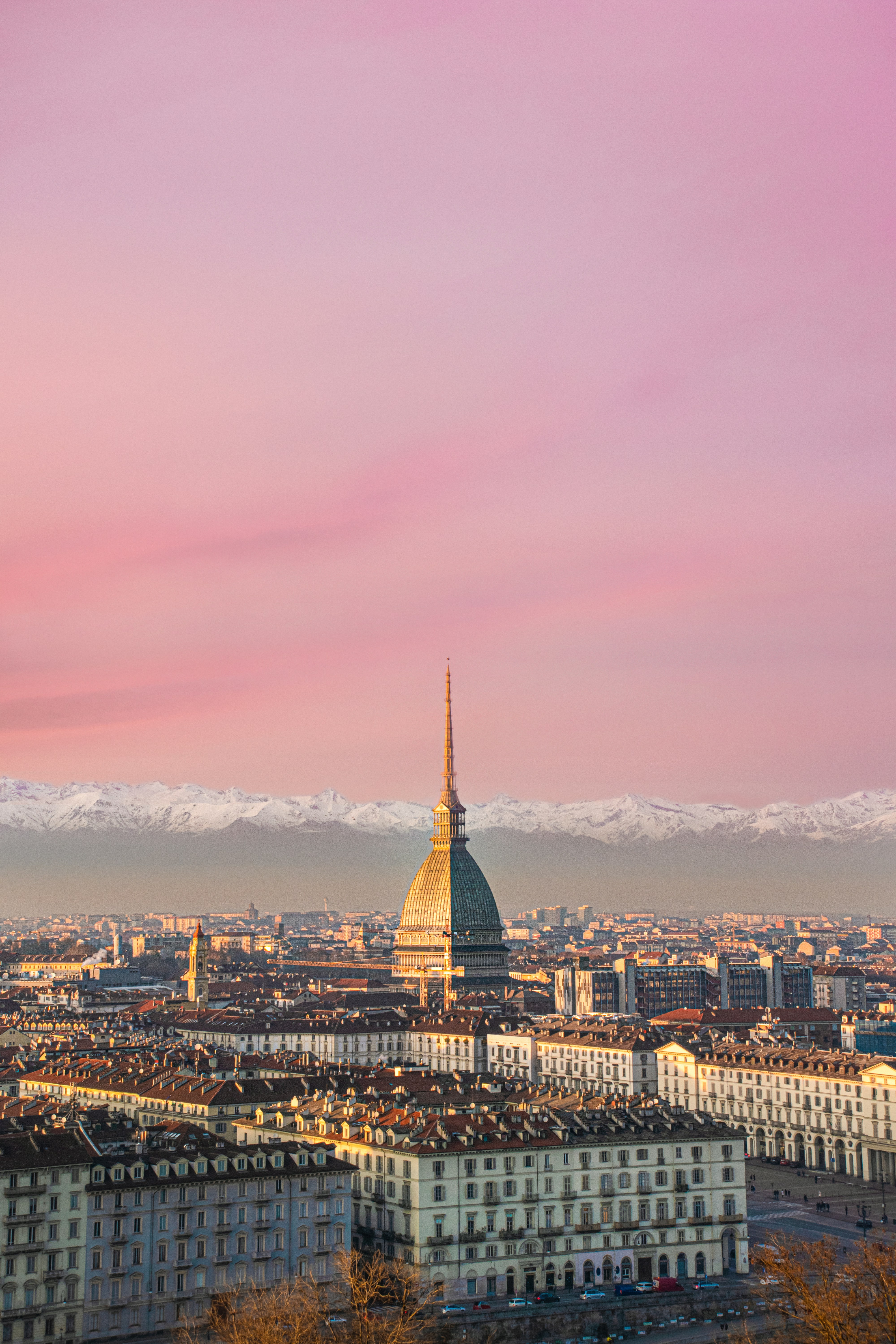 View of Turin from the hill